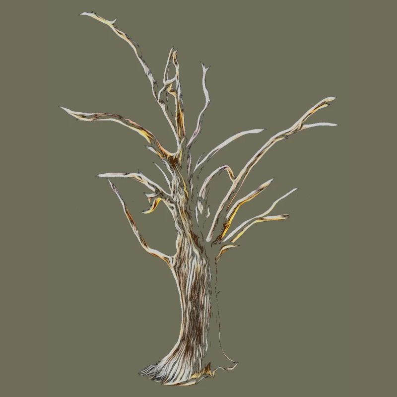 Baum