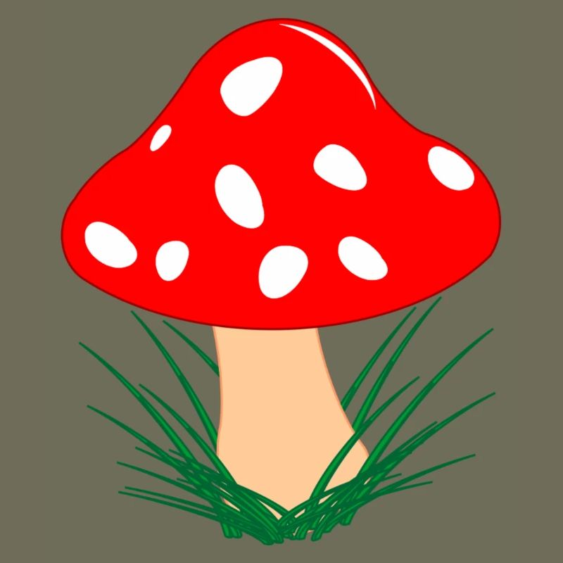 Champignon rouge avec des points blancs Automne