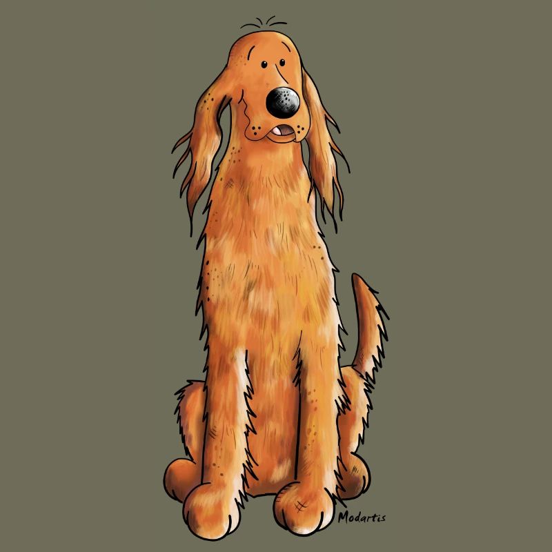 Funny Irish Setter