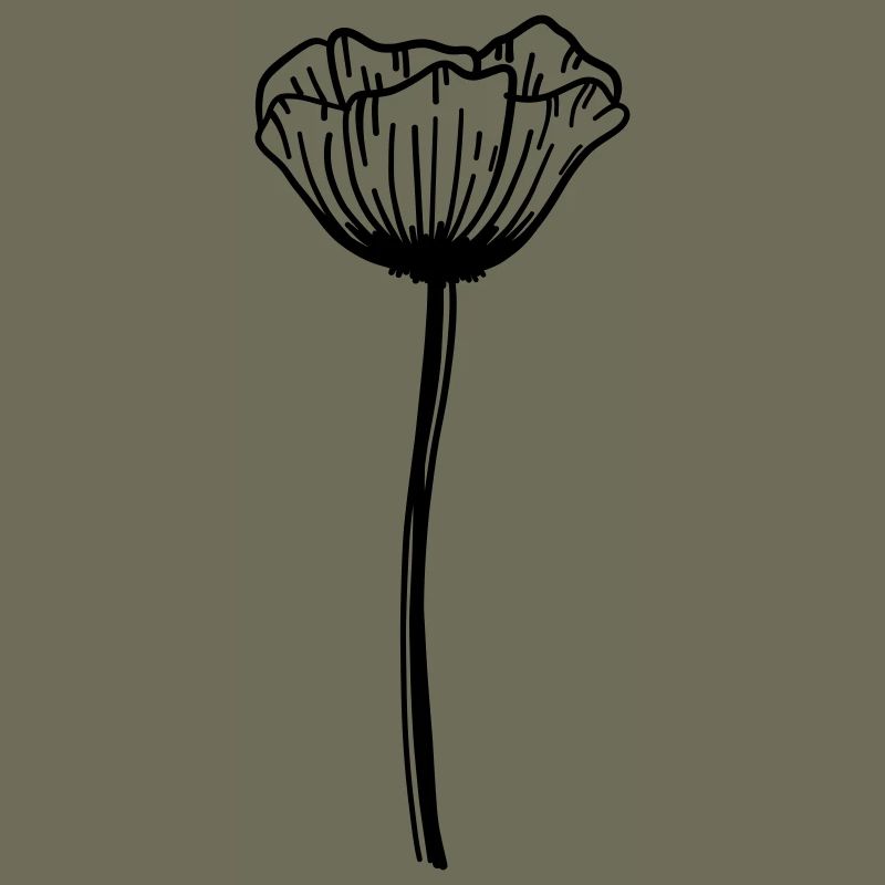 Mohn Blume