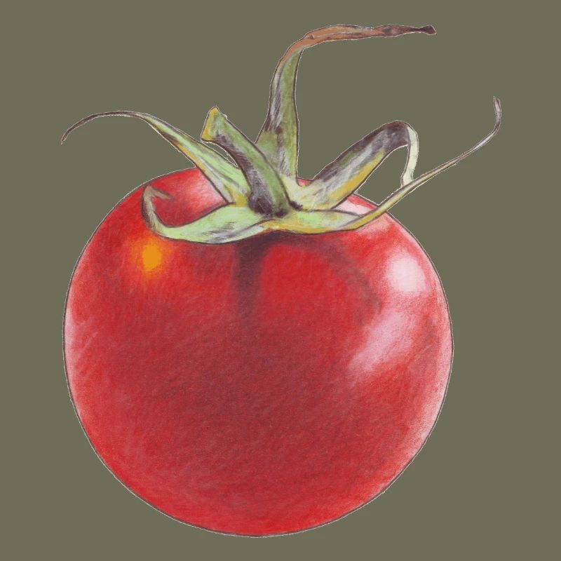 Tomato