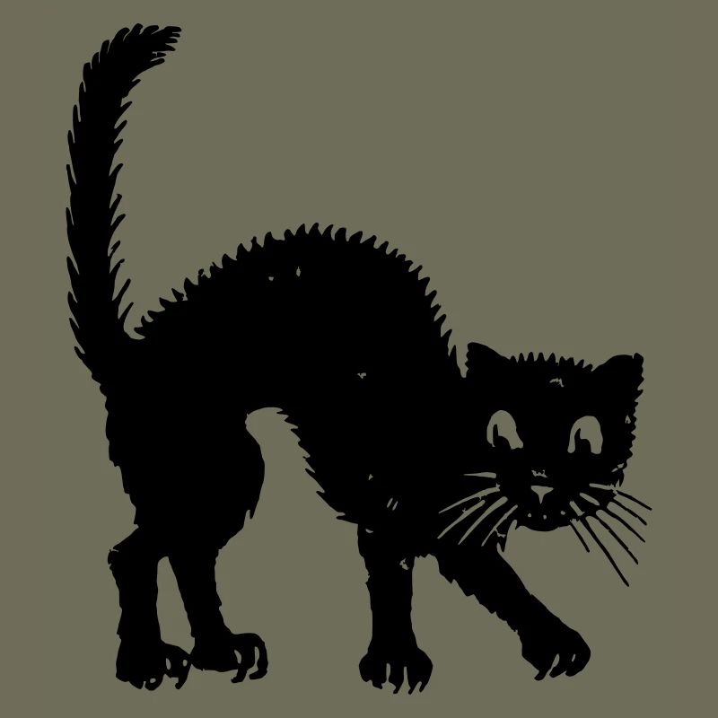 humpback cat