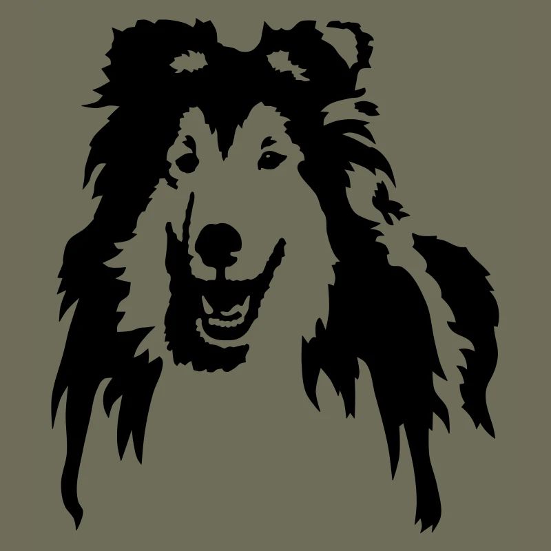 Collie