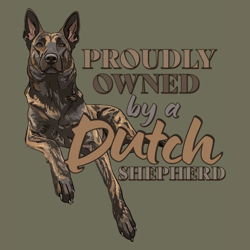 Dutch Shepherd - Dutchie 