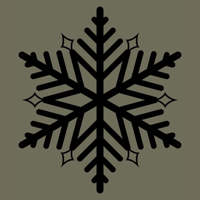 Flocon de neige flocon de neige