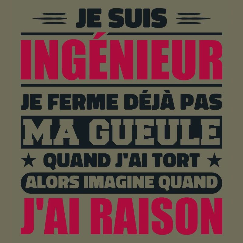 Engineer Humor Gift Student Engineer