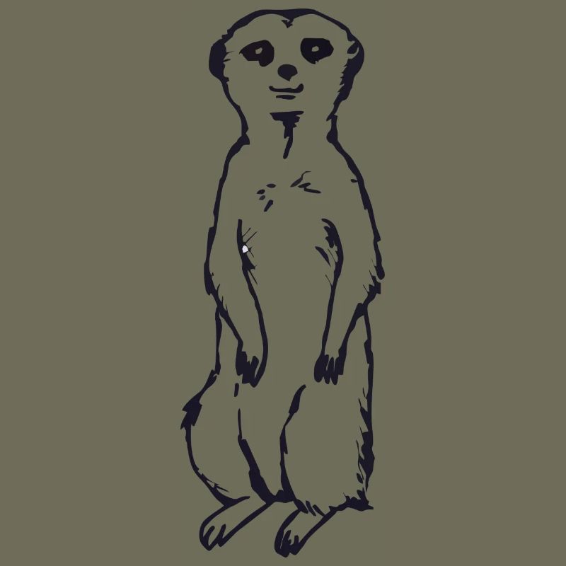 Idée cadeau bébé suricate