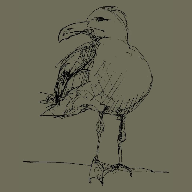 Möwe