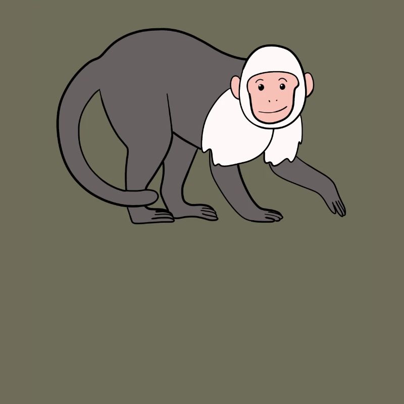 Singe capucin Singe