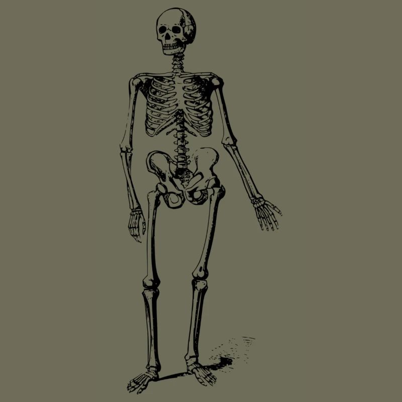 skeleton