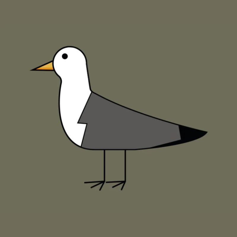 Möwe