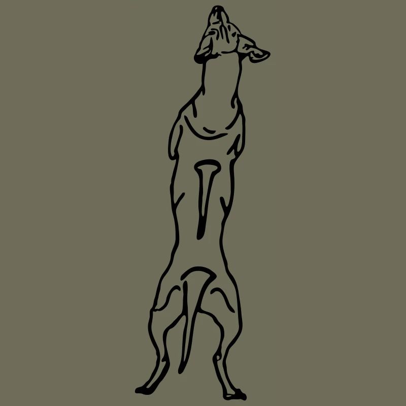 Ridgeback back