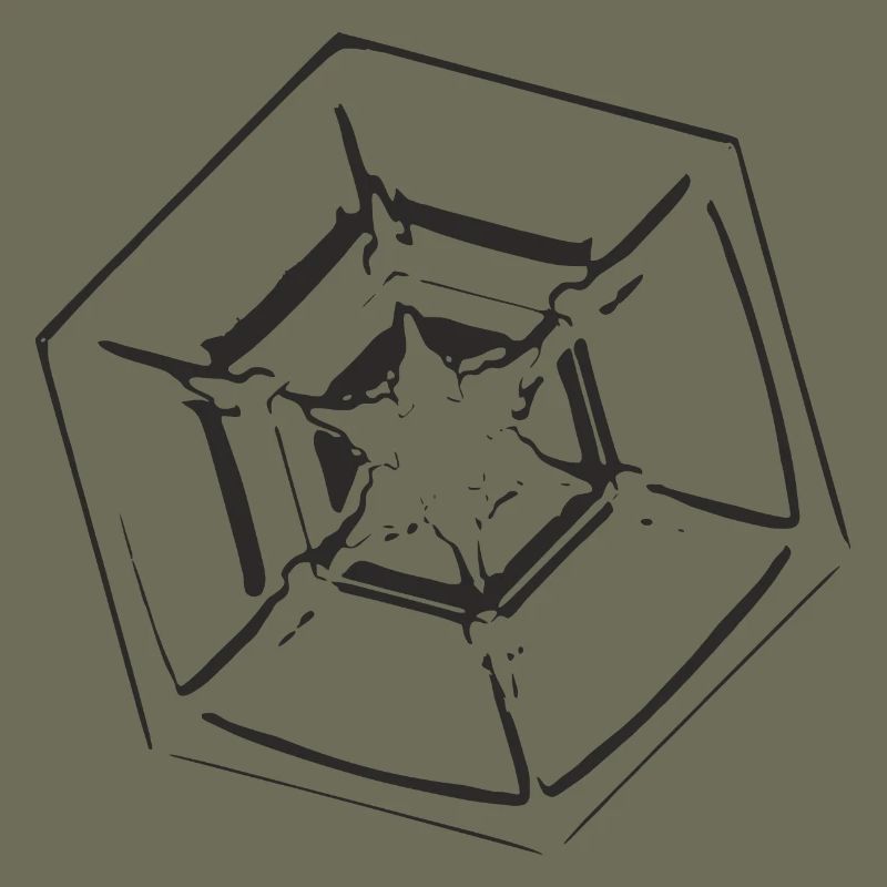 snowflake 4 black
