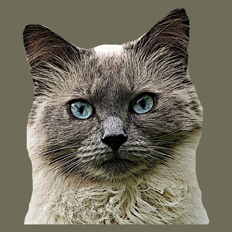 Cat Cats cat Cats Cat Head