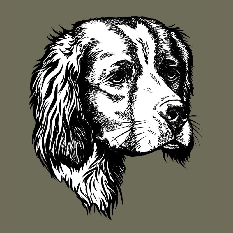 IRW Setter Portrait