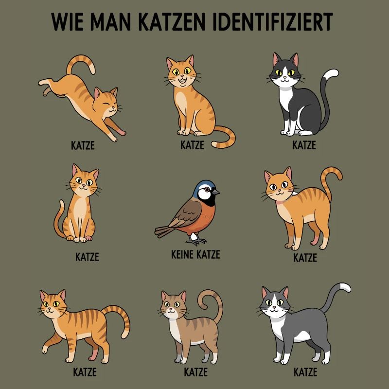 Cat Identification Guide