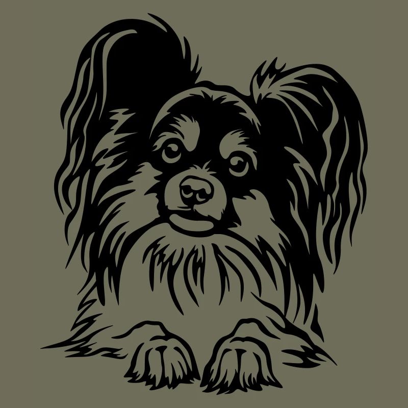 Papillon Kopf