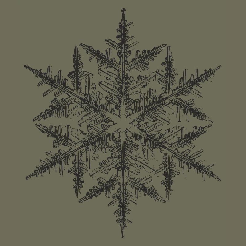 snowflake 5 black