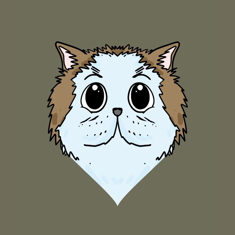 Chat persan Chat Race Chat