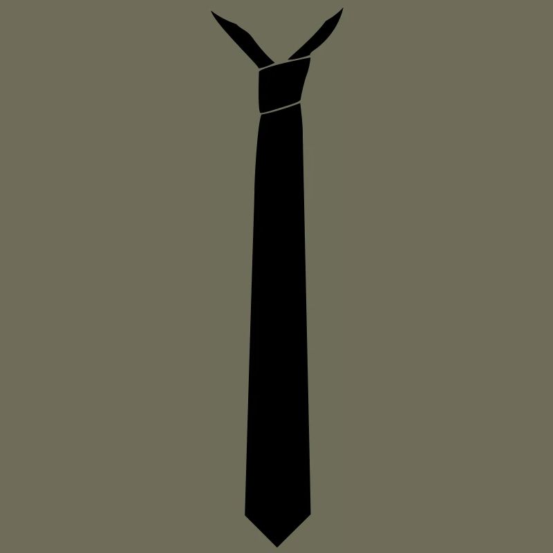 cravate style