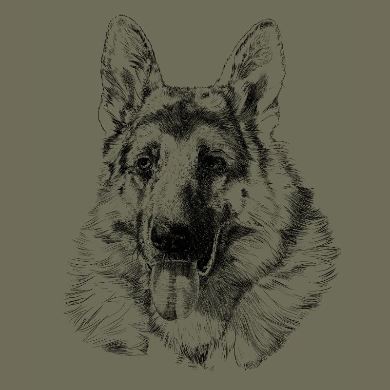 Chien de berger