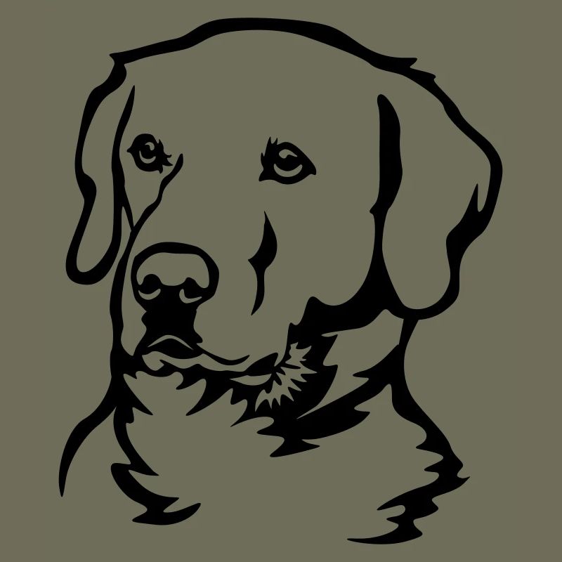 Labrador Kopf