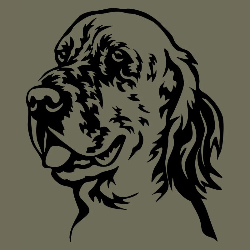 Englischer Setter Kopf