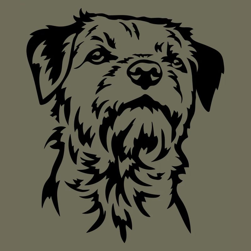 Border Terrier Head
