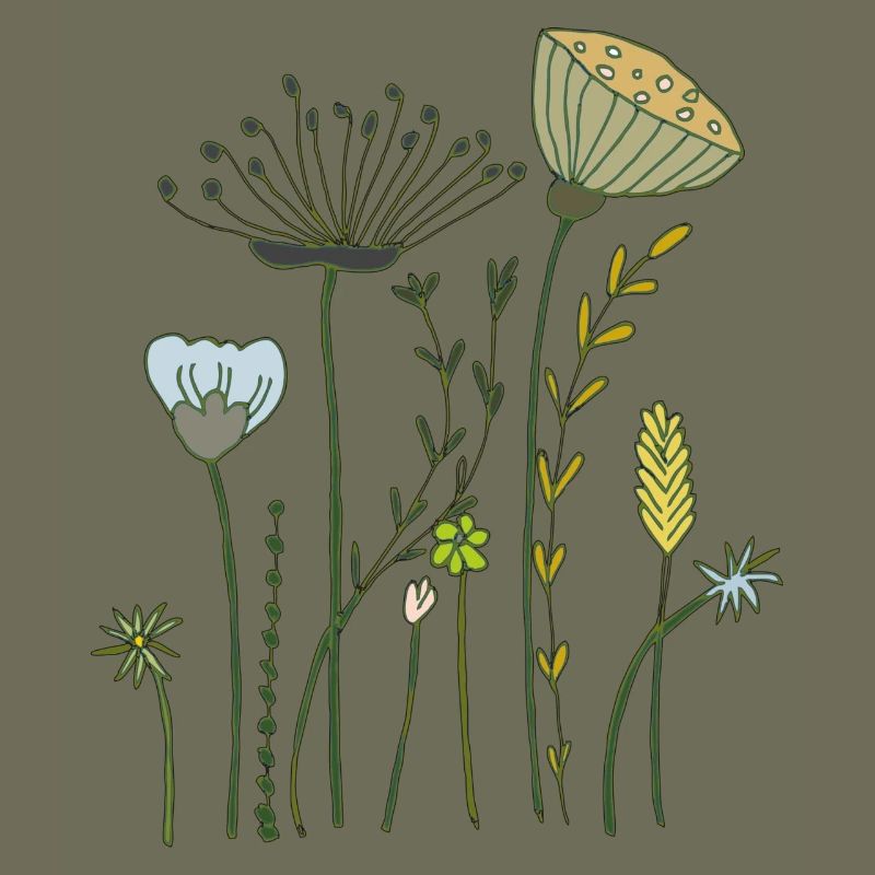 Fleurs séchées