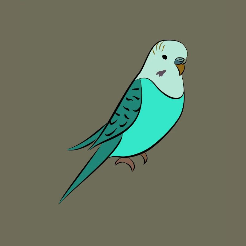Budgie turquoise