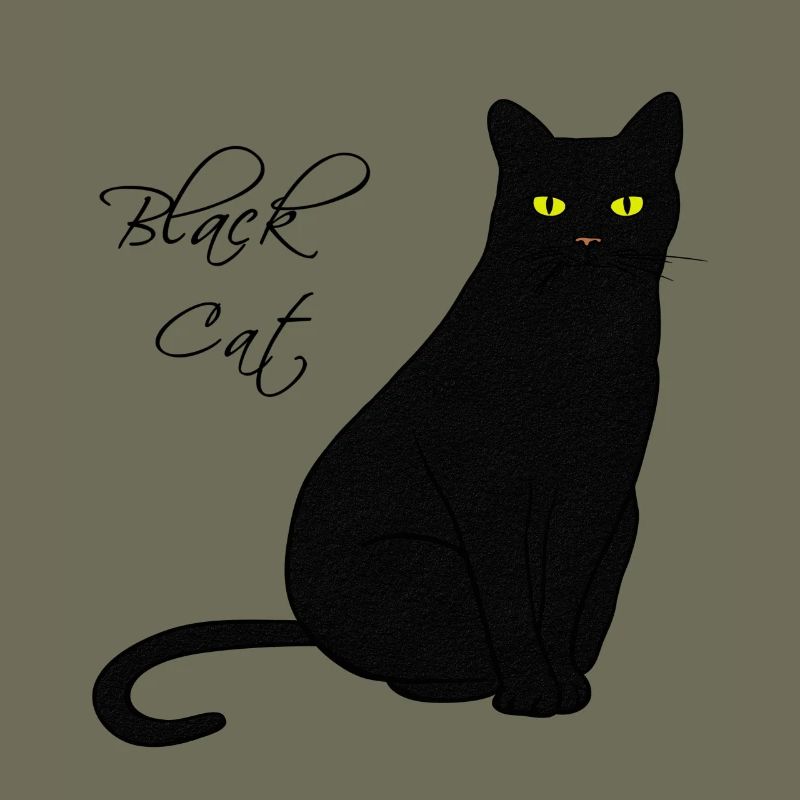 Black Cat