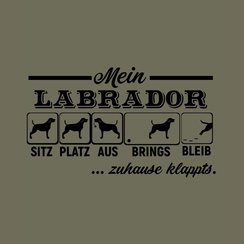 Labrador Retriever