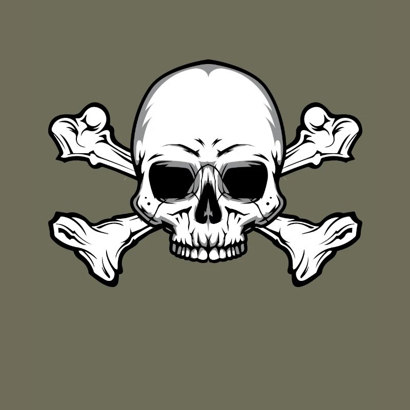 Skull with bones