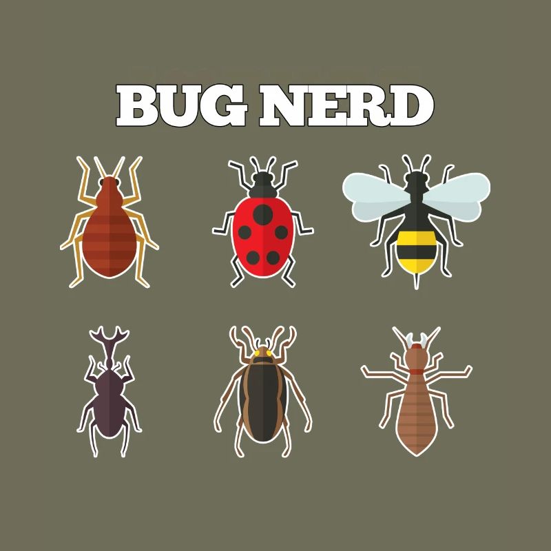 Bug Nerd