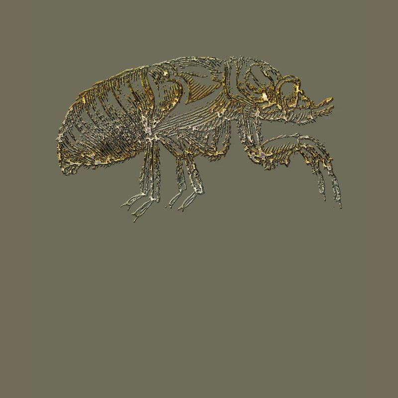 The flea
