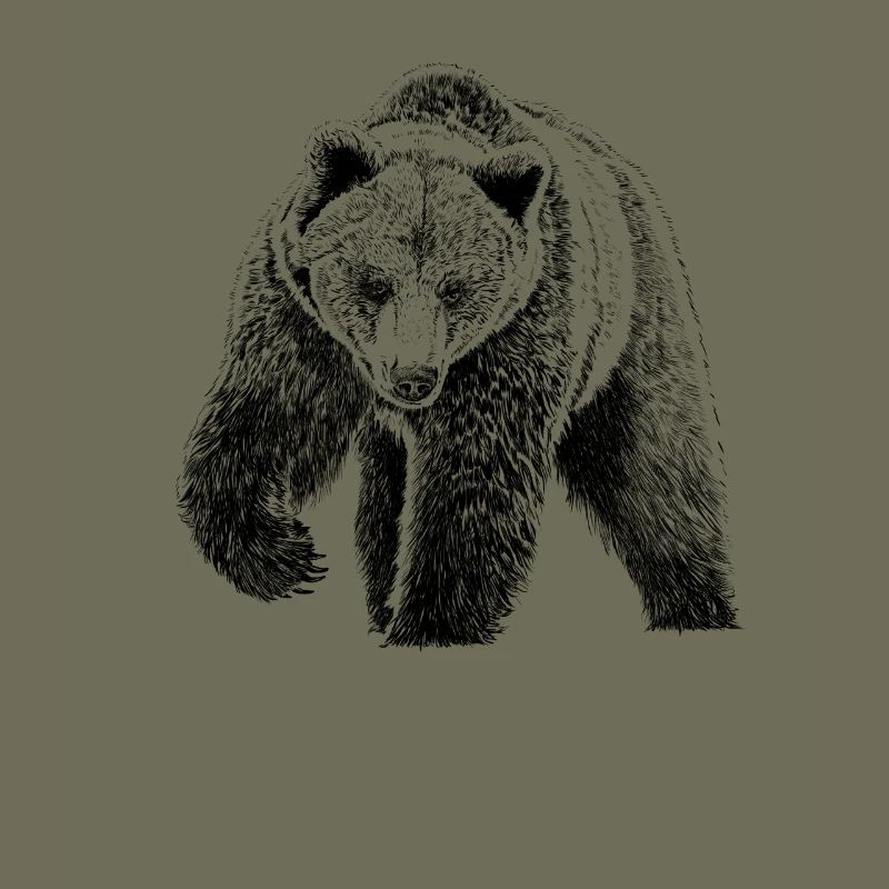 Bär