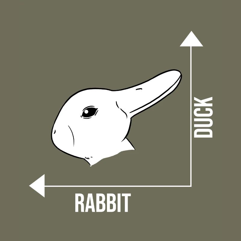 Bunny duck illusion optical illusion