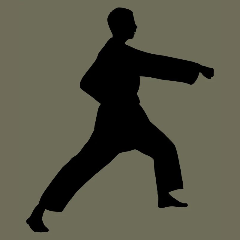Punch karate or teakwondo punch
