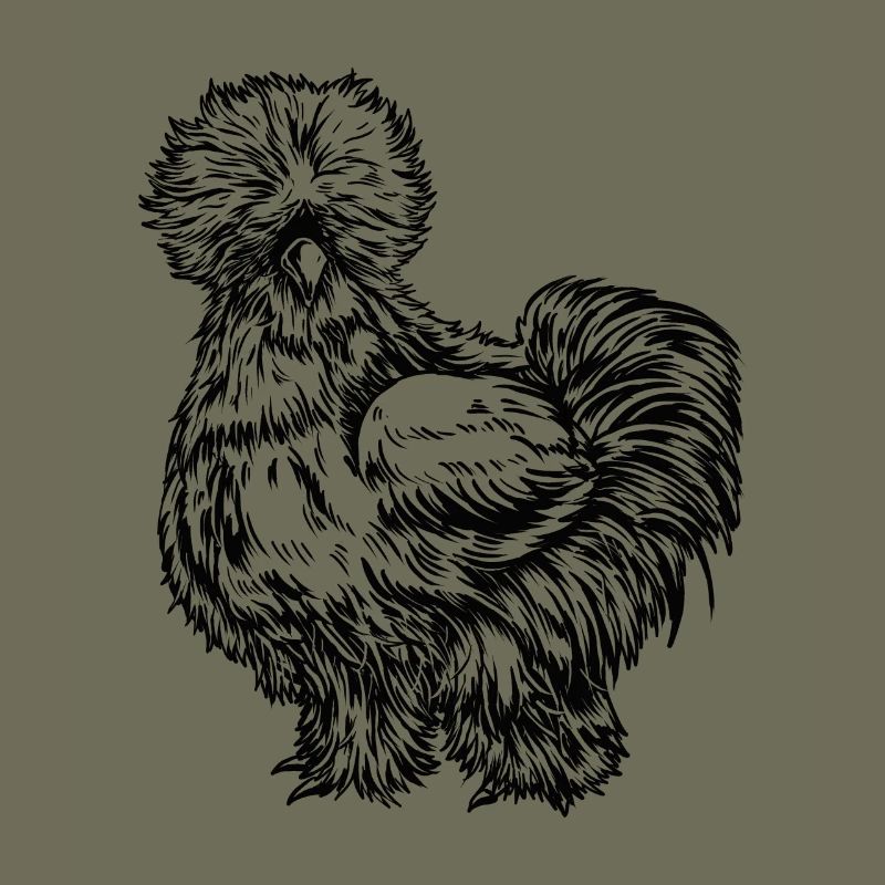Silk Chicken Drawing