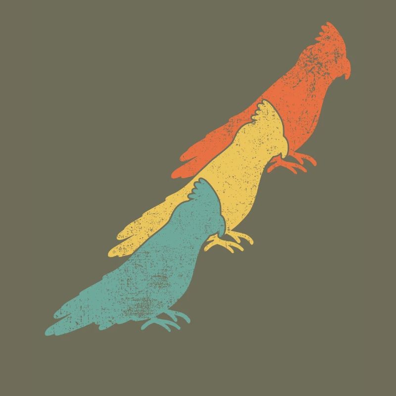 Nymphensittiche Vogel
