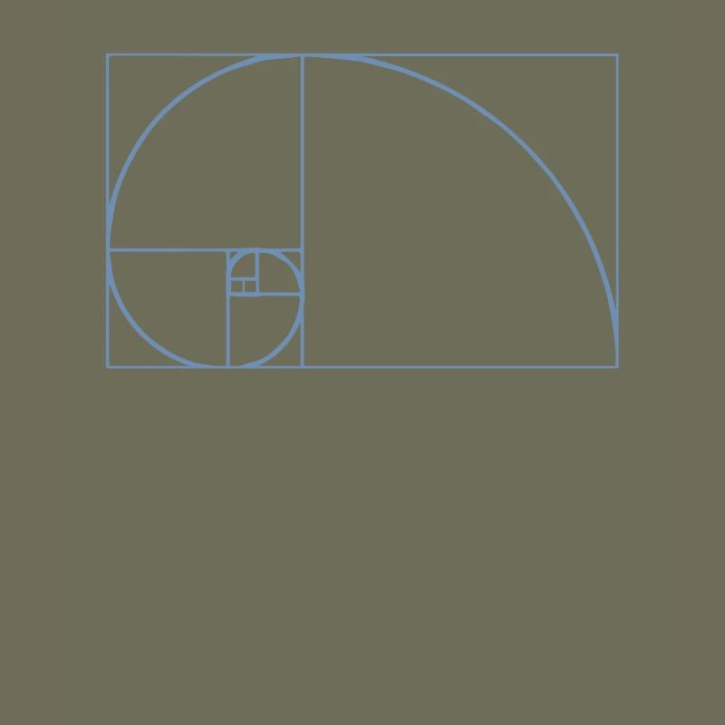 Fibonacci Tshirt