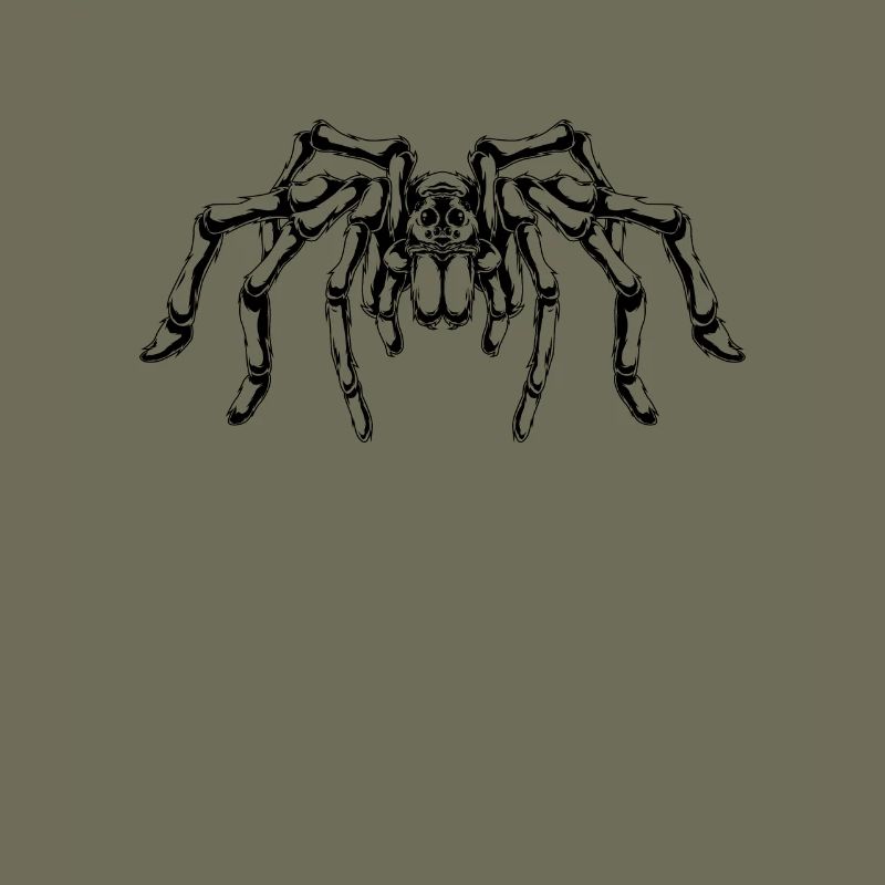 Spider lovers - big spider