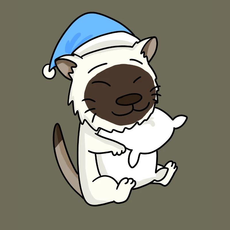 Katze Katzenrasse Birma