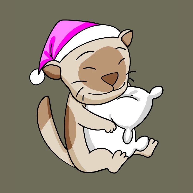 Chat Cat Race Chat Birman