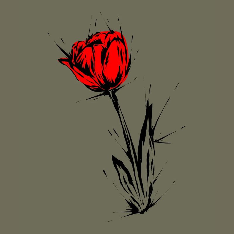 Tulpe