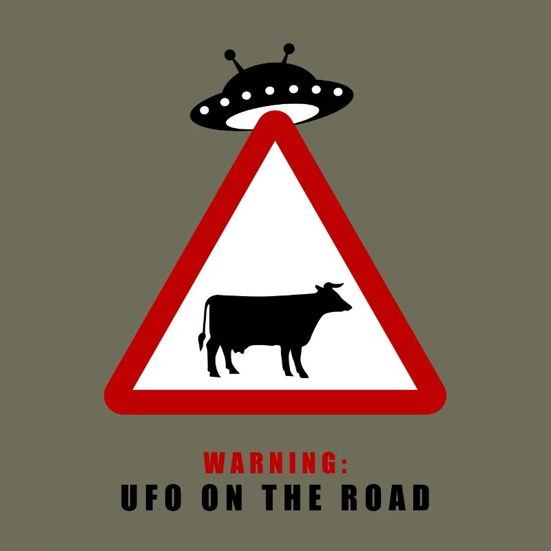Warnung! UFO auf der Straße!