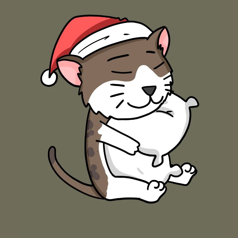 Chat Mignon Chat Birman Fatigué Noël