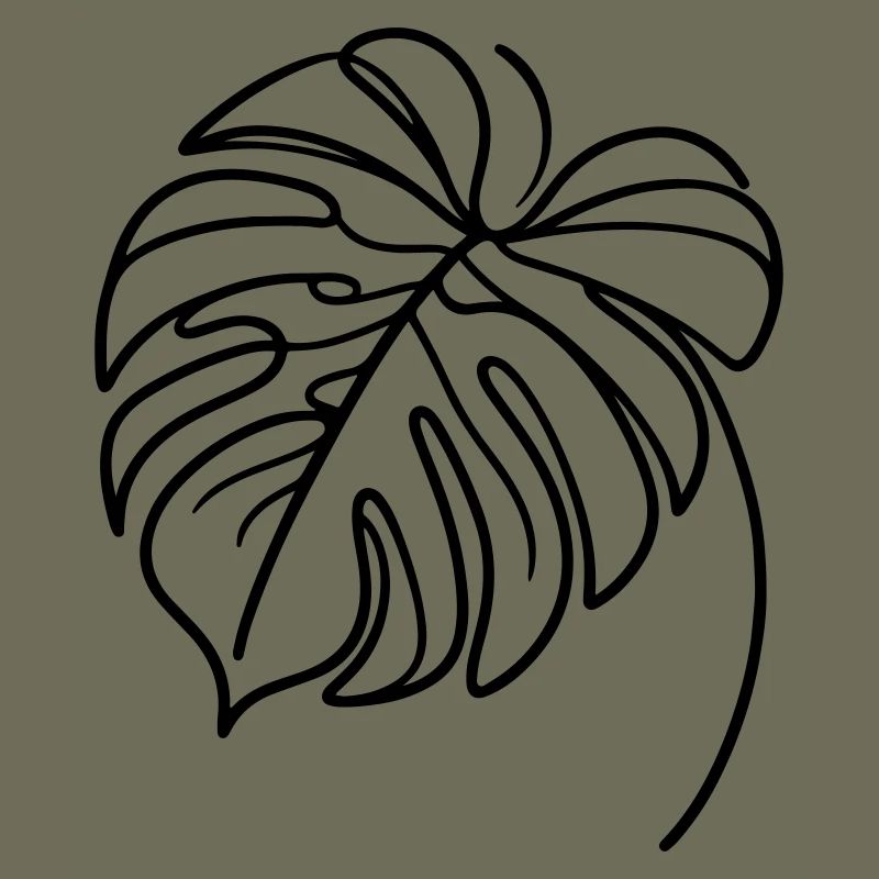 Monstera
