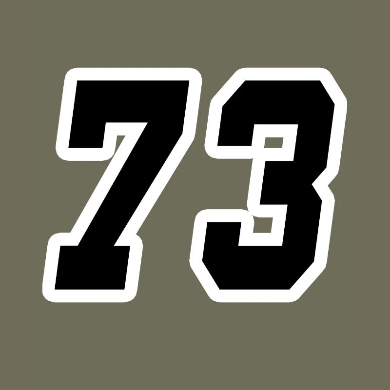 Nummer dreiundsiebzig 73