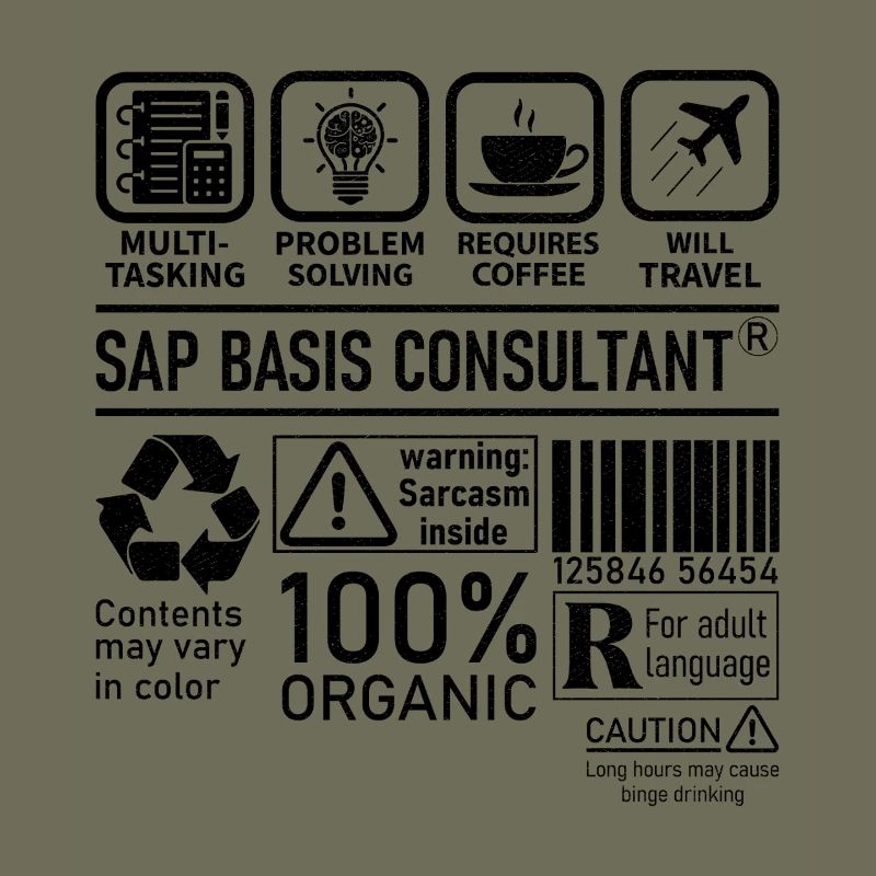 Sap Basis Consultant multi tasking problem solving